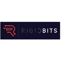 Rigid Bits logo