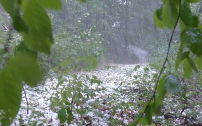 Hail No! Your Insurance May Not Cover Water Damage from Hail Accumulation